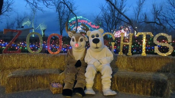 christmas roundup activities to keep you ho ho ho ing all clovis nm zoo christmas lights